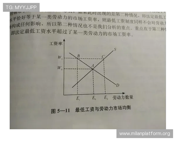 米兰注册中心：最新政策变化及对企业注册流程的影响